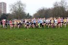 Under-15s girls start,  2012 McCain Liverpool Cross Challenge.